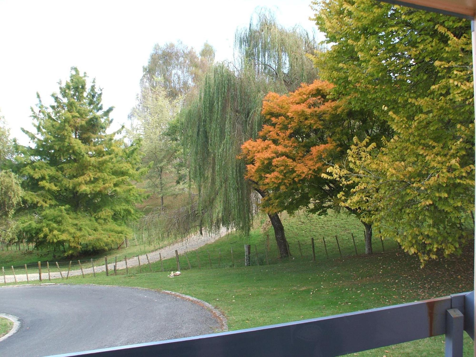 Caves Motor Inn Те-Куіті Екстер'єр фото